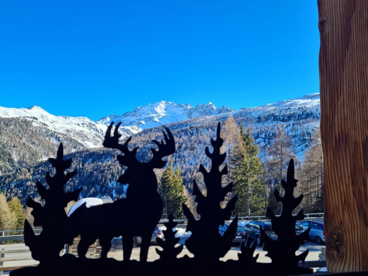 Chalet Selva Изолачча Экстерьер фото
